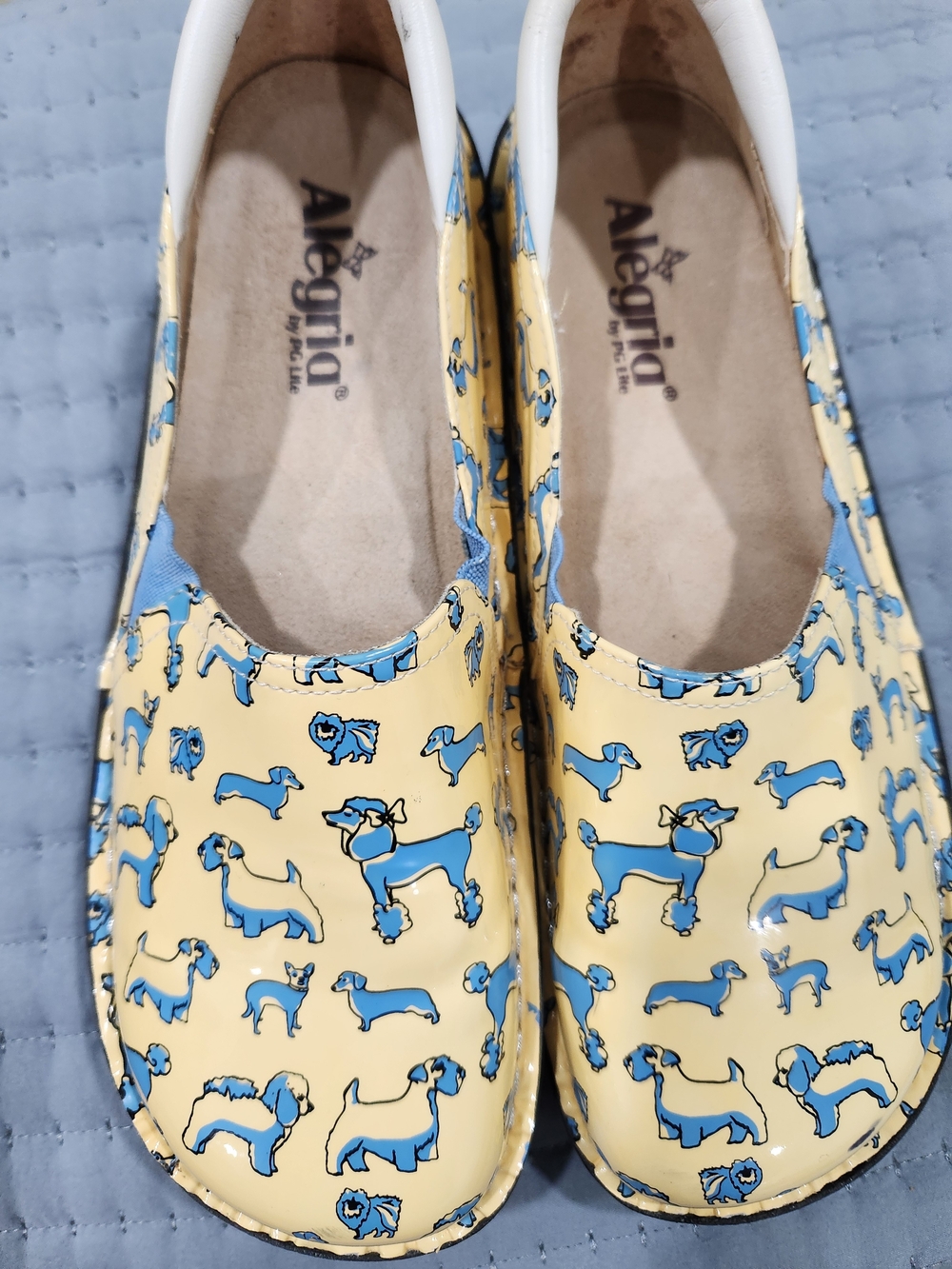 Alegria Womens Yellow Slip-On Shoes with Blue Dog Print